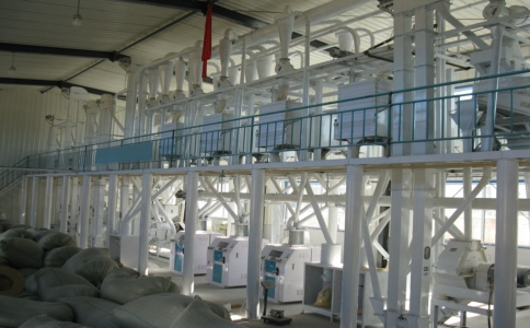 大型小米加工設備生產廠家開封糧食機械設備(圖1)